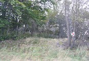 Vrchol