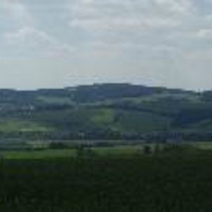 Bradlo