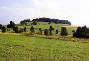Volákův kopec