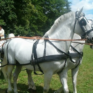 Jezdecký den 2007