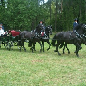 Jezdecký den 2007