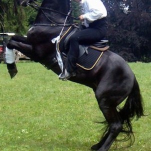 Jezdecký den 2007