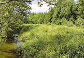 Utopenec