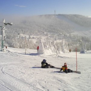 Lyžovat nebo se opalovat.
