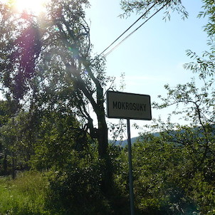 Mokrosuky