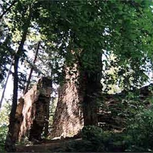 Nedaleko odsud se nalézá městečko Nýrsko