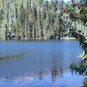 Prášilské jezero