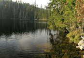 Prášilské jezero