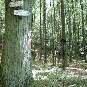 Lopata - rozcestí, Rozcestí pod zříceninou Lopata, nachází se cca 300 m severozápadně od zříceniny