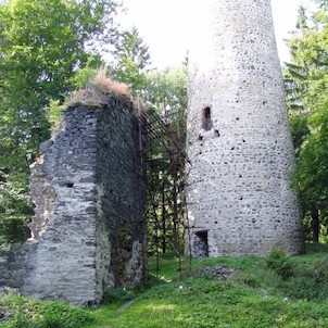 Zřícenina hradu Volfštejna