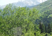 Pohľad na Tatry