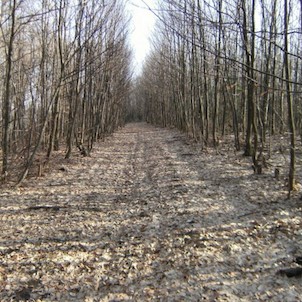 prechádzka mladinou 005