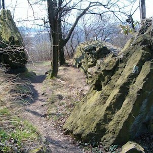 cesta z vrcholu