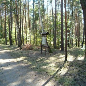 zastávka 8: Ekosystém jehličnatého lesa