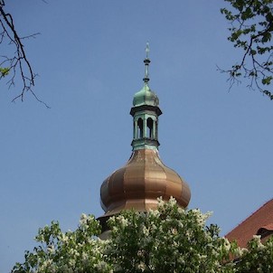 Zámek - detail, Na jaře u zámku (krom jiného) rozkvétá bílý šeřík.
