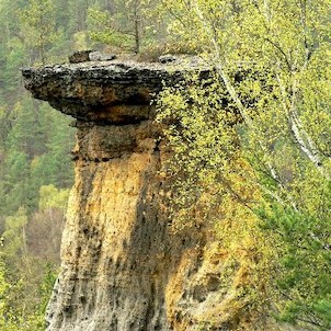 Pokličky