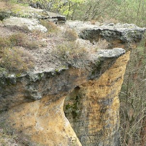Pokličky