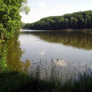 Jabkenická obora