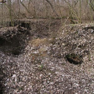 Kuncberk u Křince