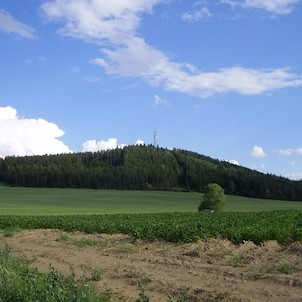Pohled na Veselý vrch