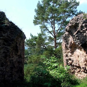 Vrškamýk
