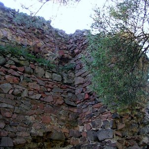 Vrškamýk