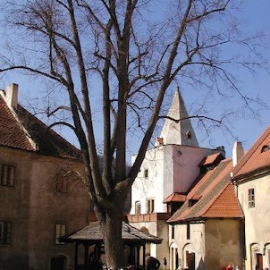 na hradě