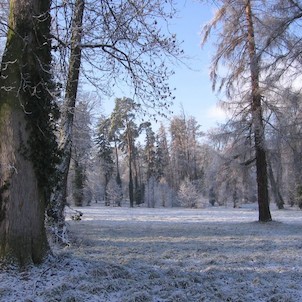 Zima v kaštieľskom parku