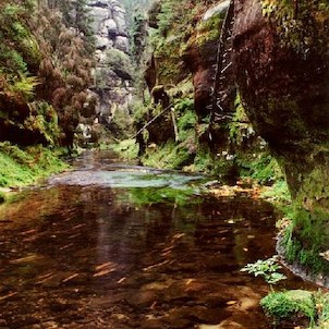 Křinice
