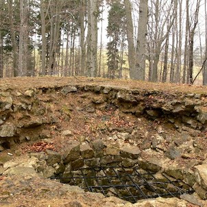 Krásný buk, 17.4.06