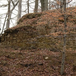 Krásný buk, 17.4.06