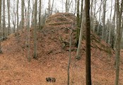 Krásný buk, 17.4.06