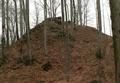 Krásný buk, 17.4.06