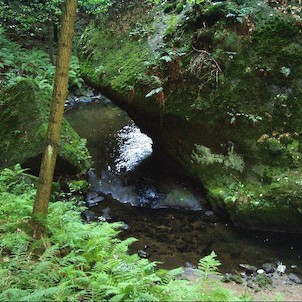 Kyjovské údolí, Křinice 25.9.05