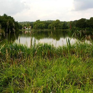 Olešský rybník