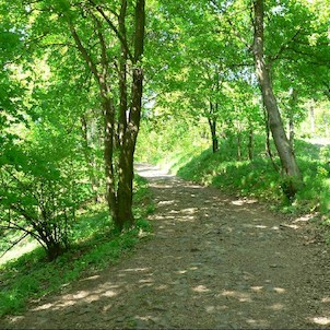 Cesta na Varhošť