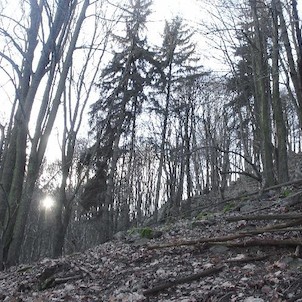 Sedlo, cestou na vrchol