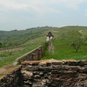 Vinice Velkých Žernosek