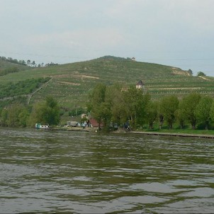 Vinice