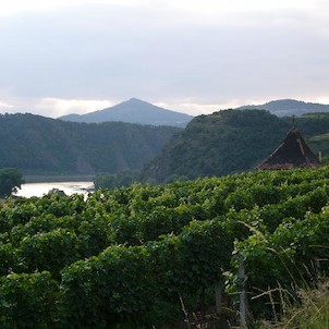 Porta Bohemica a Kalvárie od žernoseckých vinic