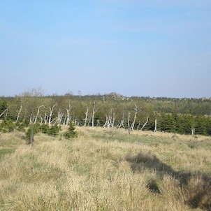 skály na vrcholu, od červené hřebenovky