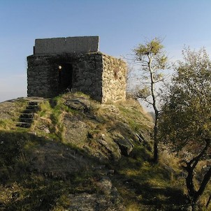 Jeřabina