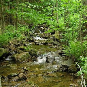 Domaslavické údolí, Domaslavický potok