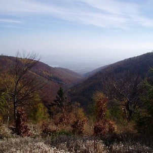 Pohled na údolí