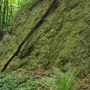 Krušnohorský zlom, Naučná stezka Přírodou a dějinami Oseka