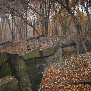 Salesiova výšina