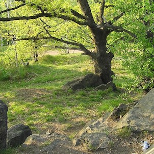 na Písečném vrchu, park na Písečném vrchu