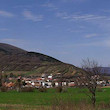 files/gallery/16534/62819.jpg