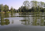 Přehrada Břevnice