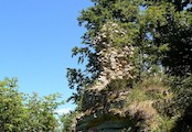 Janštejn
